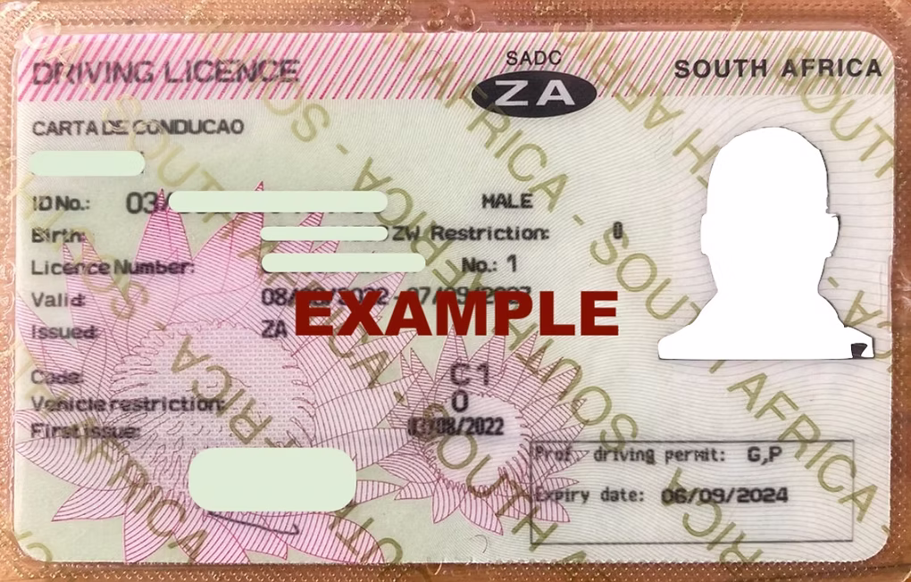 Example South African Professional Driving Licence card